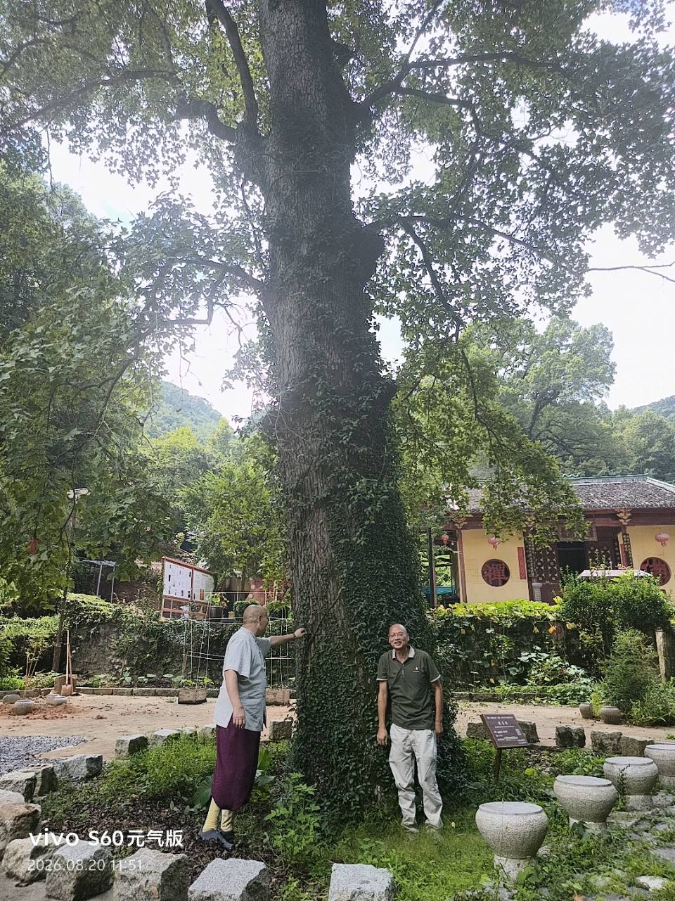 吴德文:再谒云封寺（图3）