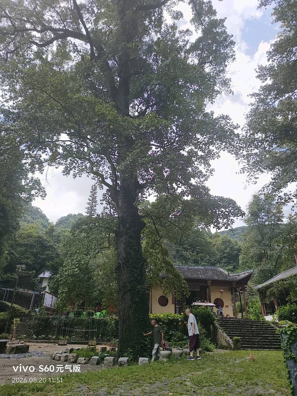 吴德文:再谒云封寺（图14）