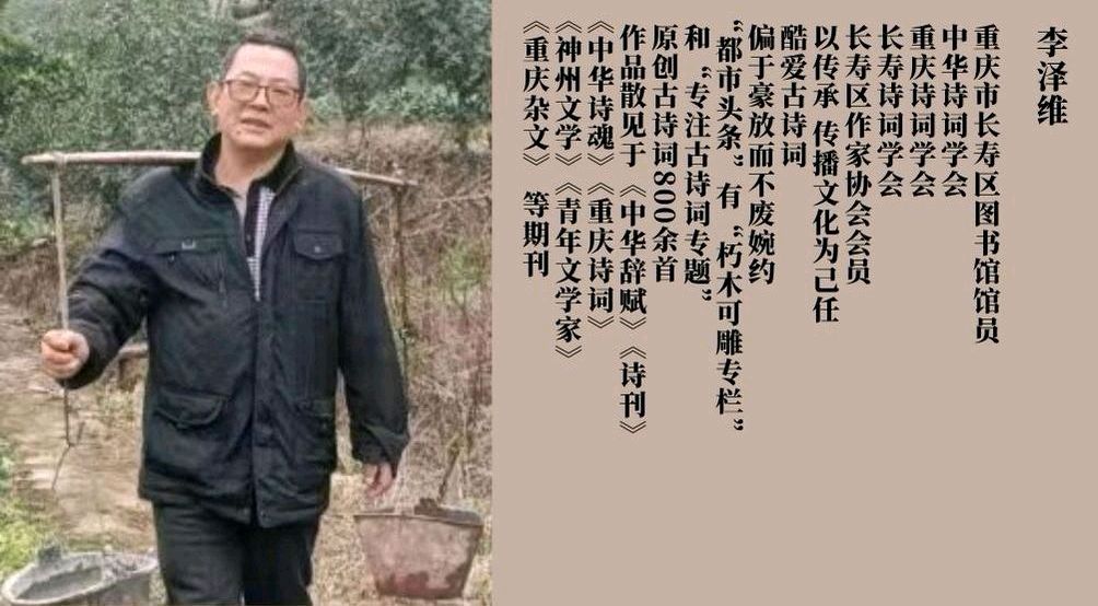 莫道山深灯影瘦……（图3）
