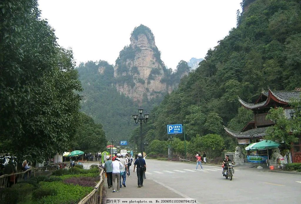 大地的证词 郑能新 中国作协会员(图8)