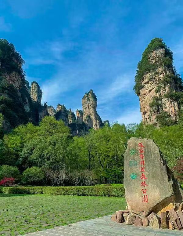 大地的证词 郑能新 中国作协会员(图9)