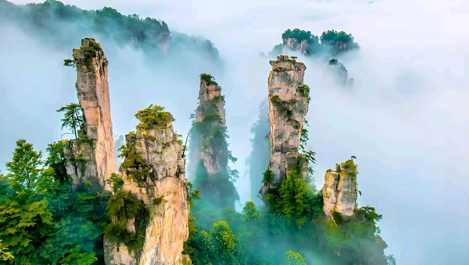 大地的证词 郑能新 中国作协会员(图11)