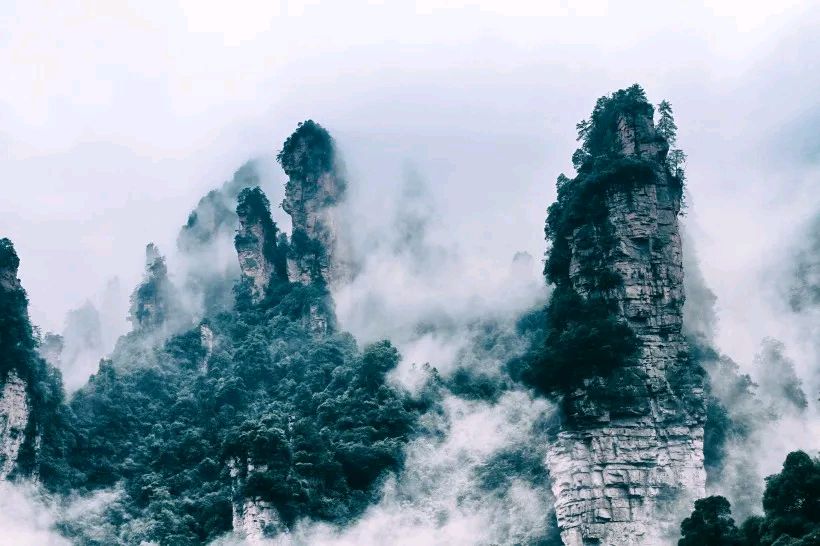 大地的证词 郑能新 中国作协会员(图12)