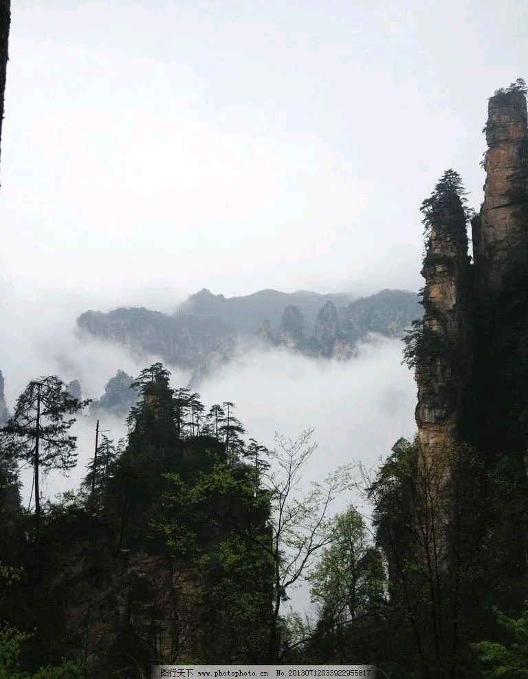 大地的证词 郑能新 中国作协会员(图7)