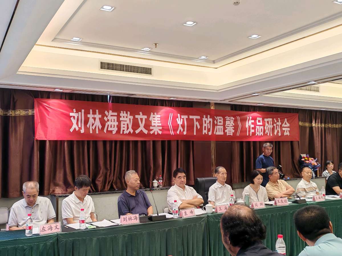故乡的村落,为何听不见一声唢呐?——以郑曼之眼读刘林海《灯下的温馨》(图2)
