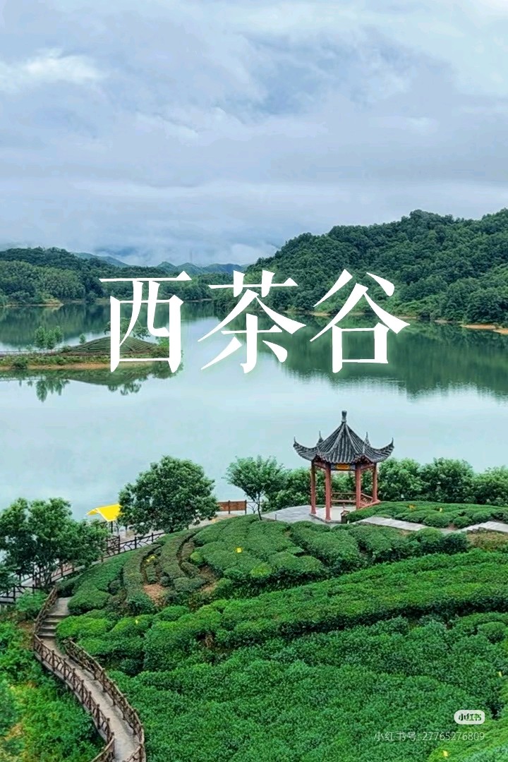 西茶谷赋 作者:唐增虎（山东）（图2）