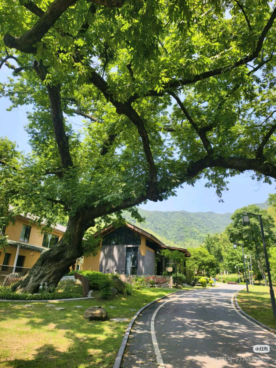 西茶谷赋 作者:唐增虎（山东）（图7）