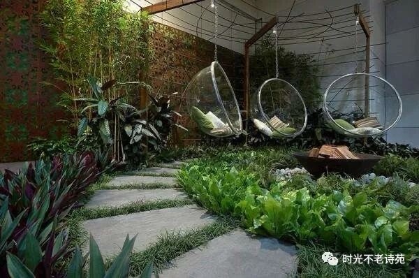 请您欣赏今朝醉老师为您展示《小院秋色浓》作者：宁静致远（图6）