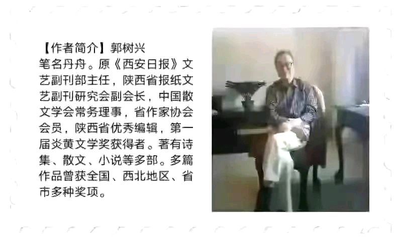 【长安诗文•图赋诗】丹舟文、杨树保摄/石榴红了（图9）
