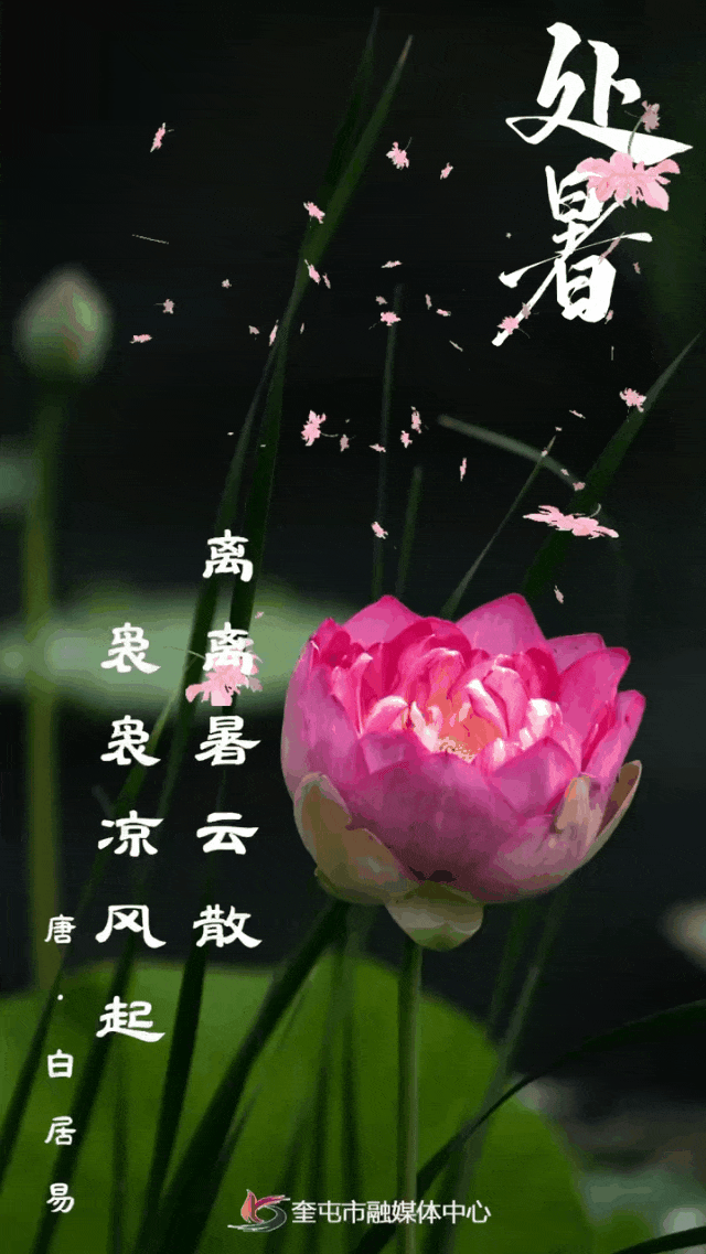 七排《处暑寄思》 作者:连振华/广东乐昌（图7）