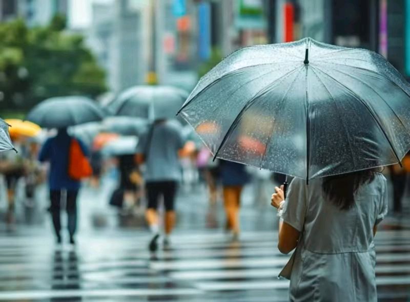 五绝三首·踏雨/作者:平安是福(张福安)(图5)