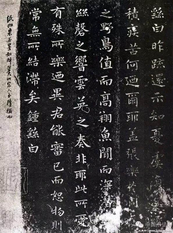 人生大赢家(楷法篇)广东女作家 水禾田（图4）