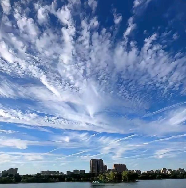 “凤还巢”云图奇观☁（图4）