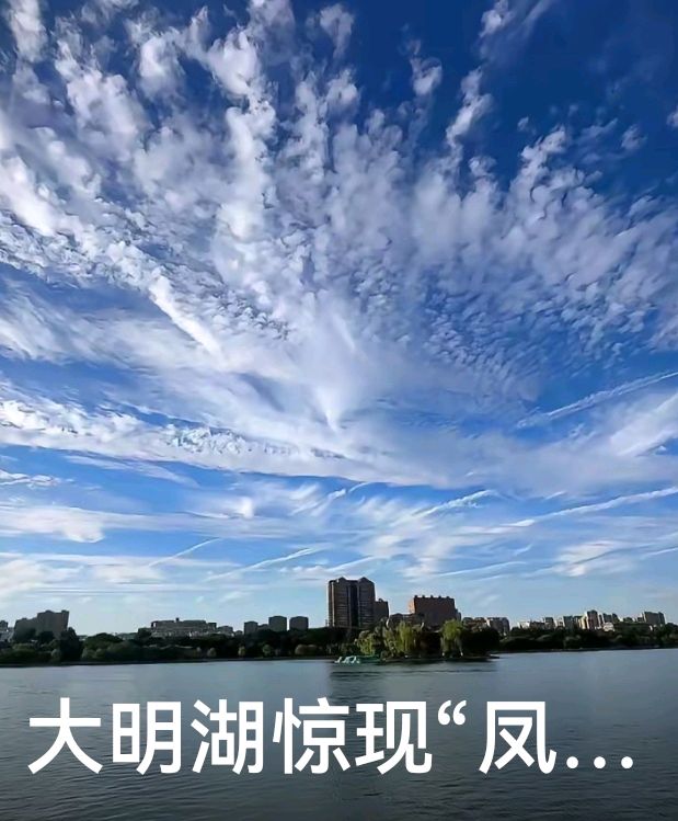 “凤还巢”云图奇观☁（图5）
