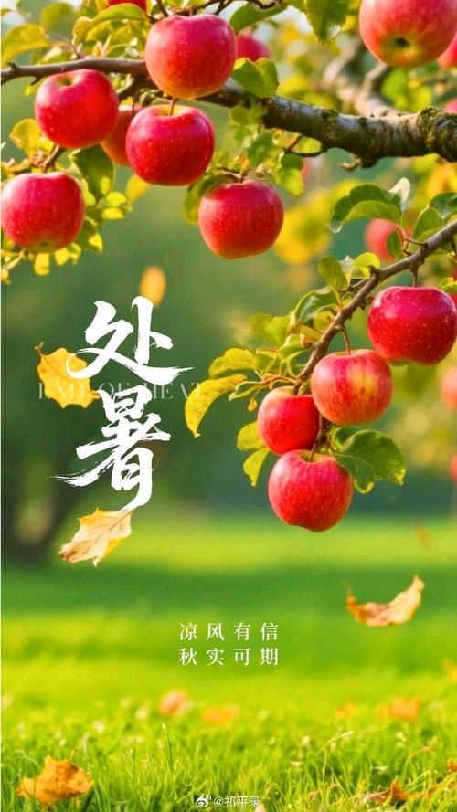 【北京头条】唐子岳诗歌专辑376期（图5）