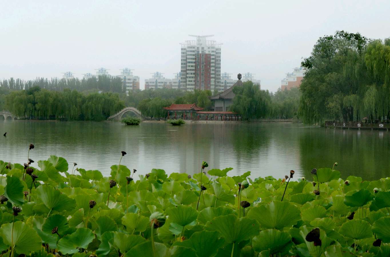 《烟雨燕鸽湖》（图2）
