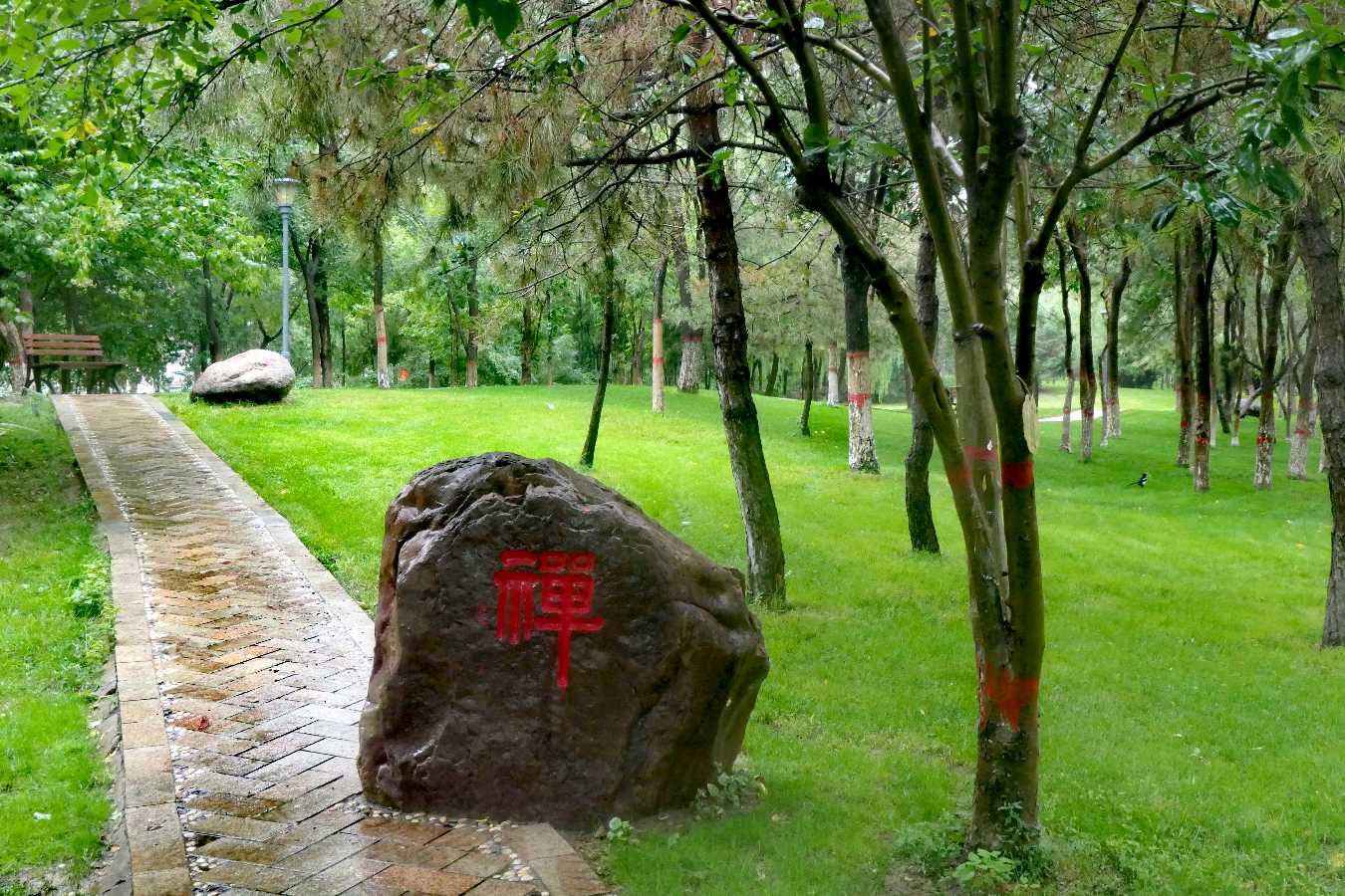 《烟雨燕鸽湖》（图9）
