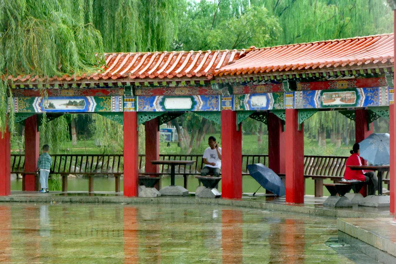 《烟雨燕鸽湖》（图7）