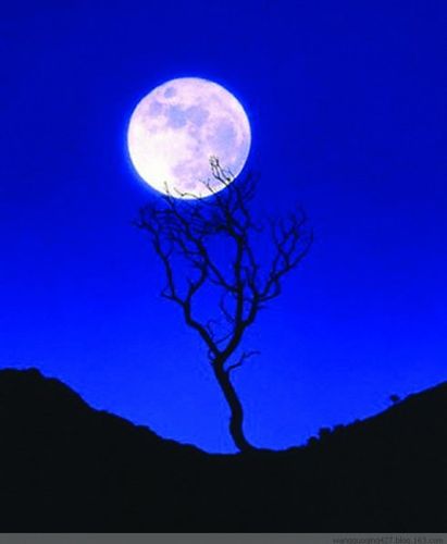 《中元节诗小辑》文/王香谷（悉尼）（图2）