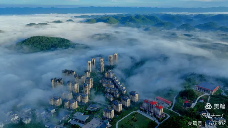 诵珍柏向阳/金色中国《凉雾赶场三首》（图5）