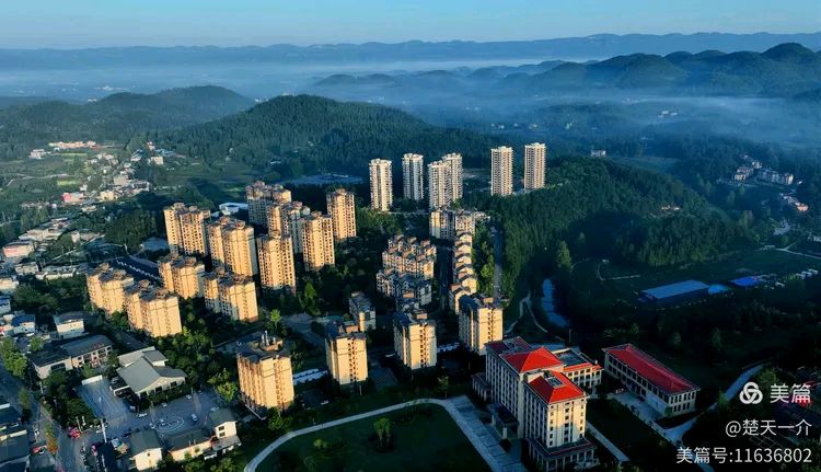 诵珍柏向阳/金色中国《凉雾赶场三首》（图10）