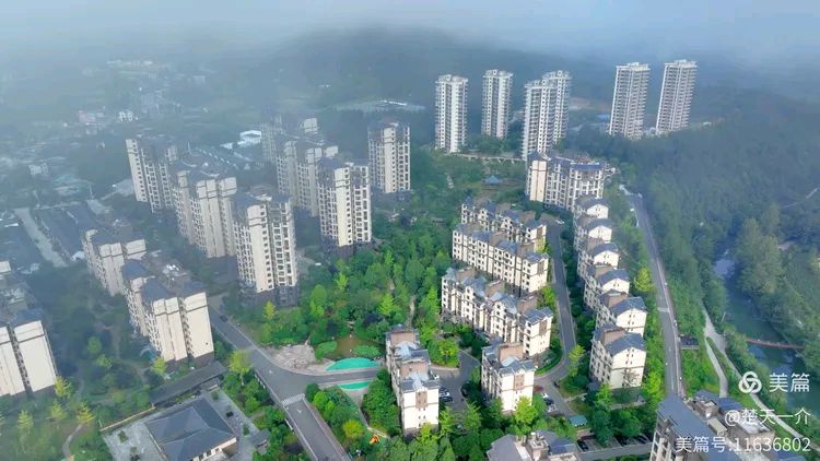 诵珍柏向阳/金色中国《凉雾赶场三首》（图9）