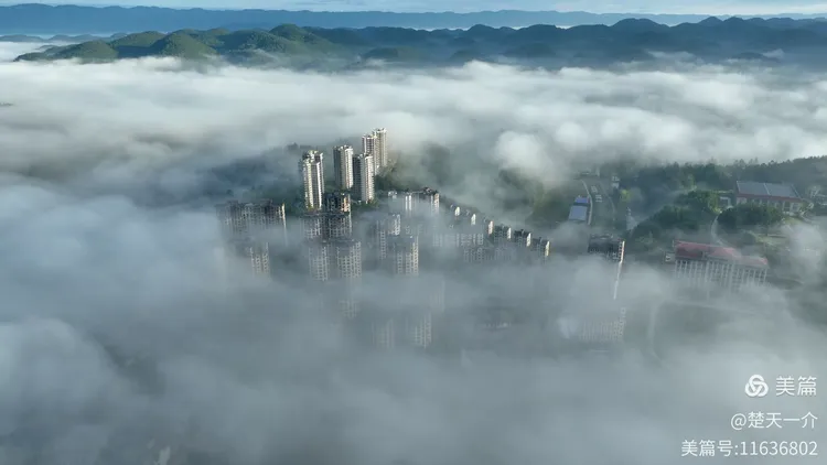 诵珍柏向阳/金色中国《凉雾赶场三首》
