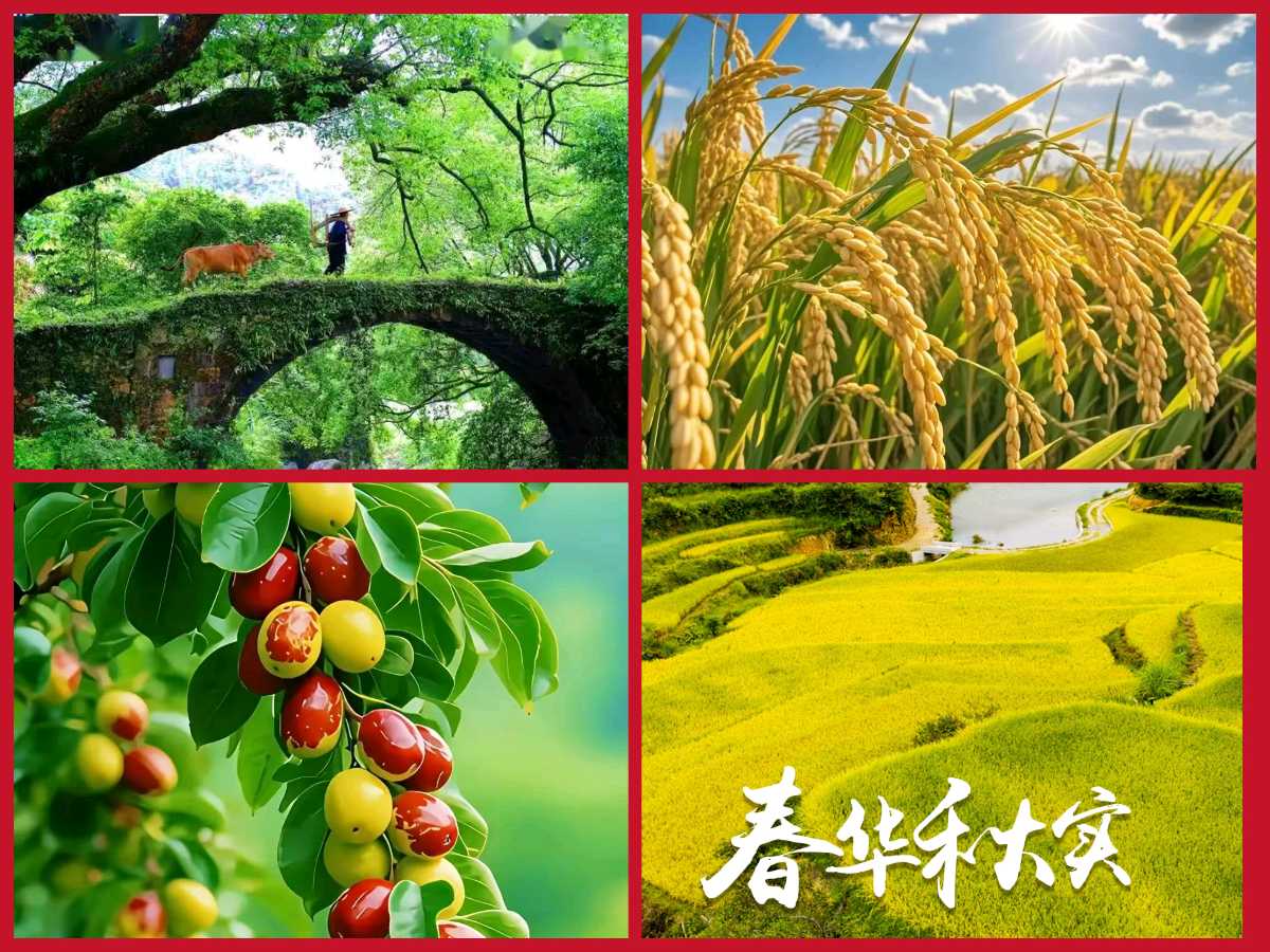 【隆重推出 秋韵抒怀】鲁坡//七律•春华秋实[励志名言警句]系列作品展（图3）