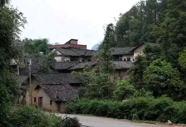 微型散文诗《空归》
