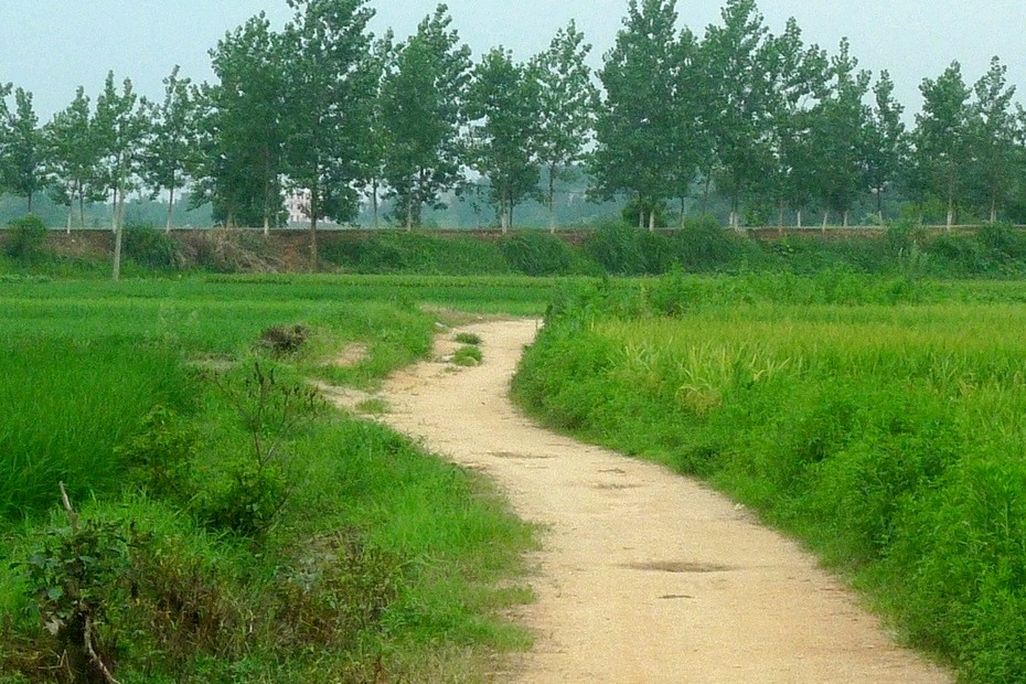 微型散文诗《空归》（图2）