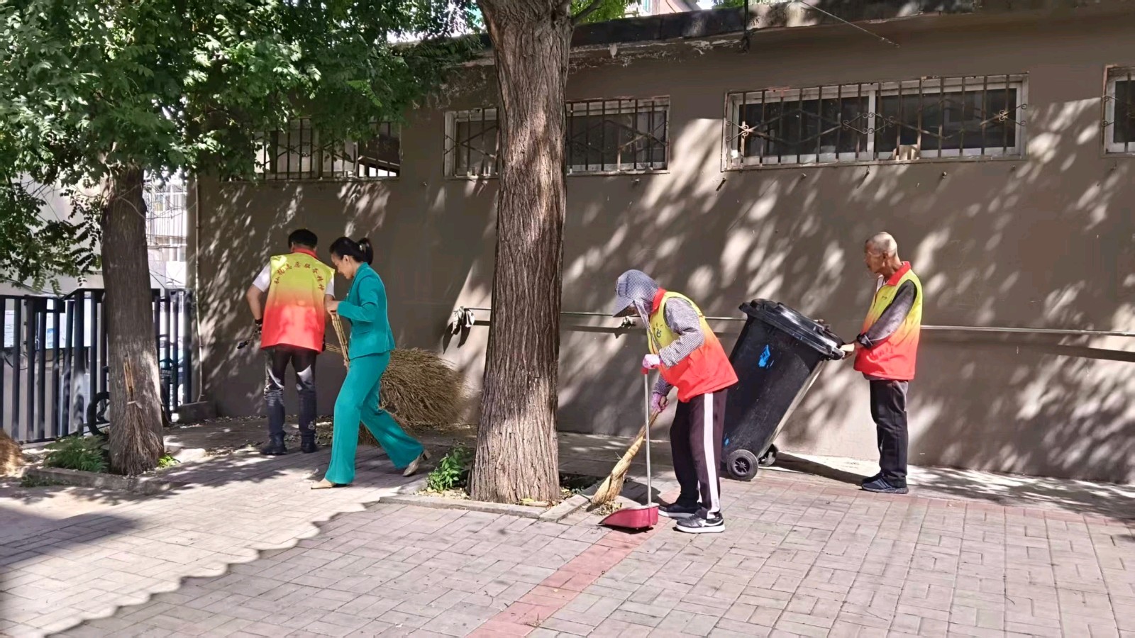 志愿清扫净家园 爱心奉献树榜样（图4）