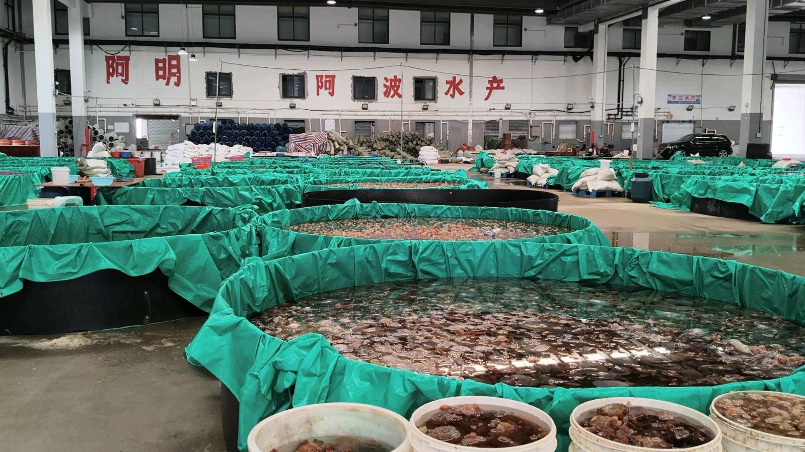 走访水产业 赋能促发展（图2）