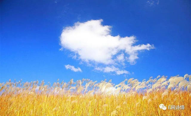 微型散文诗《九月的流云》