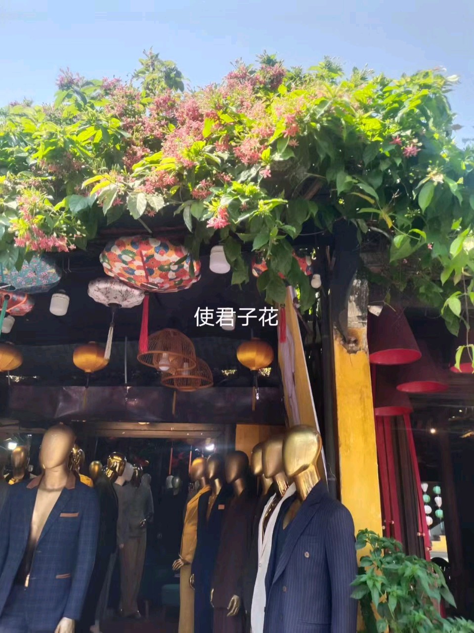 【翰林国粹诗社】诗人陈衍统个人专辑《三十六》咏百花专刊(实花系列九)（图12）
