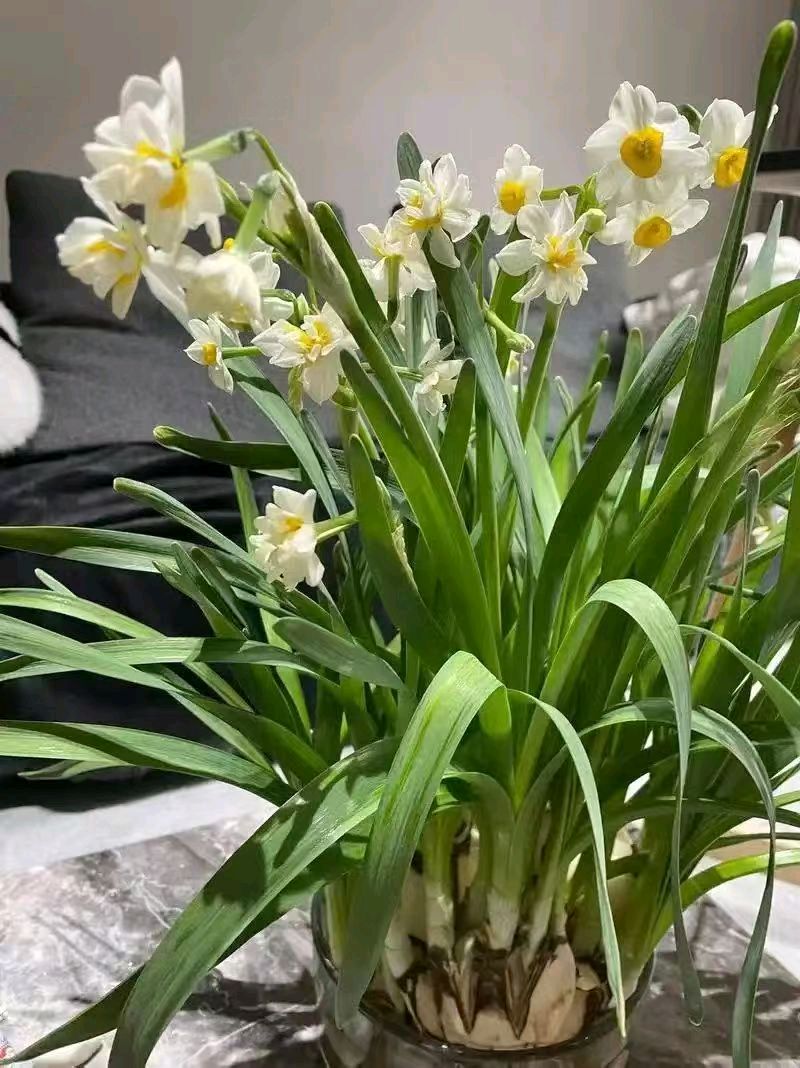 【翰林国粹诗社】诗人陈衍统个人专辑《三十六》咏百花专刊(实花系列九)（图21）