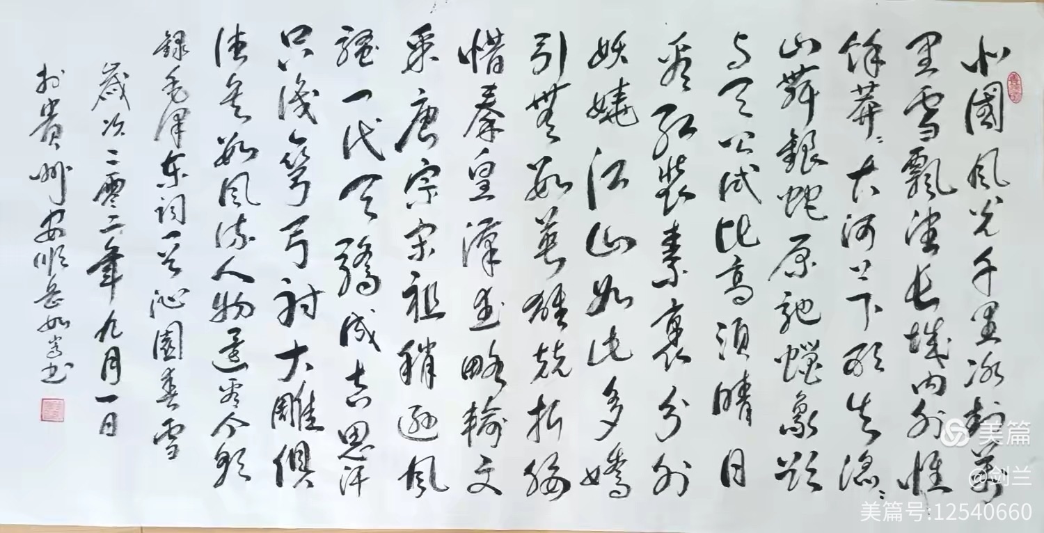 海外头条:《书法之缘 韵味意长》作者||贾兰仙(图15)