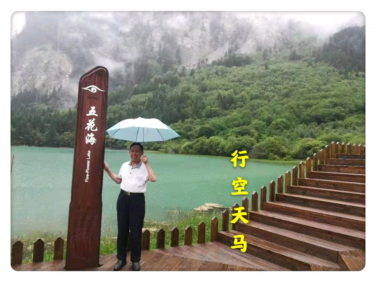 【翰林国粹诗社】诗人陈衍统个人专辑《三十七》咏百花专刊(实花系列十)（图2）