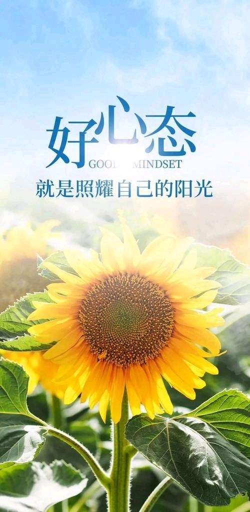 吳華龍(广东茂名)——第三十九锦集！🌷（图18）