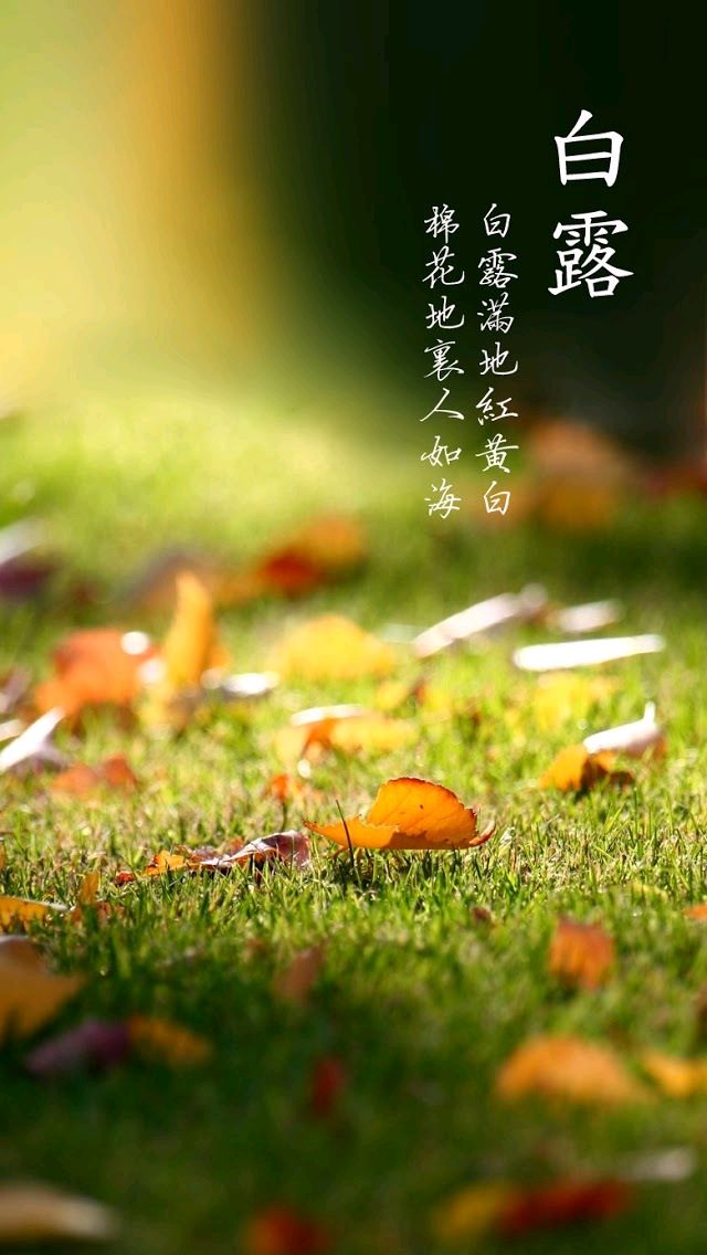 【笑声笑语】散文：白露为霜（笑青/河北）