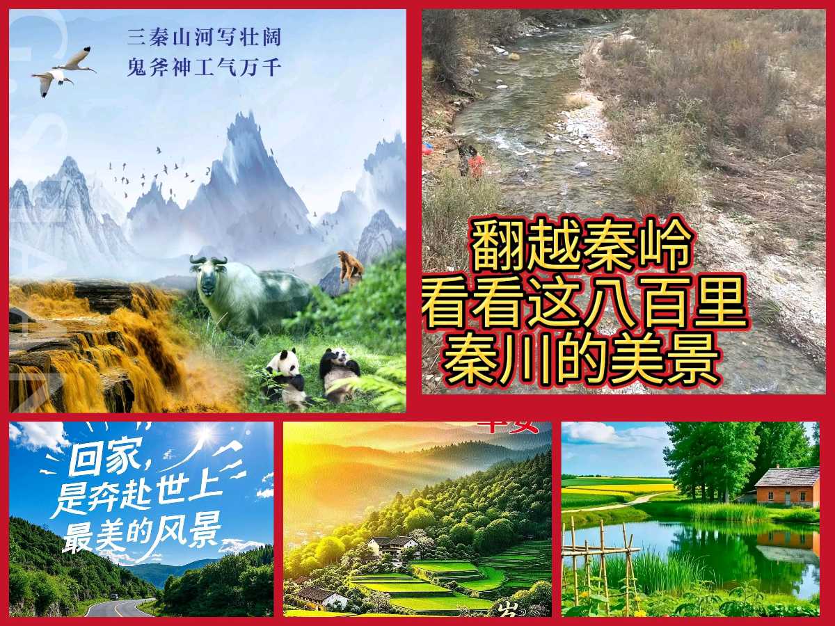 【重磅推出 秋韵抒怀】鲁坡//七律•归乡访旧+[励志名言警句]系列作品展（图3）