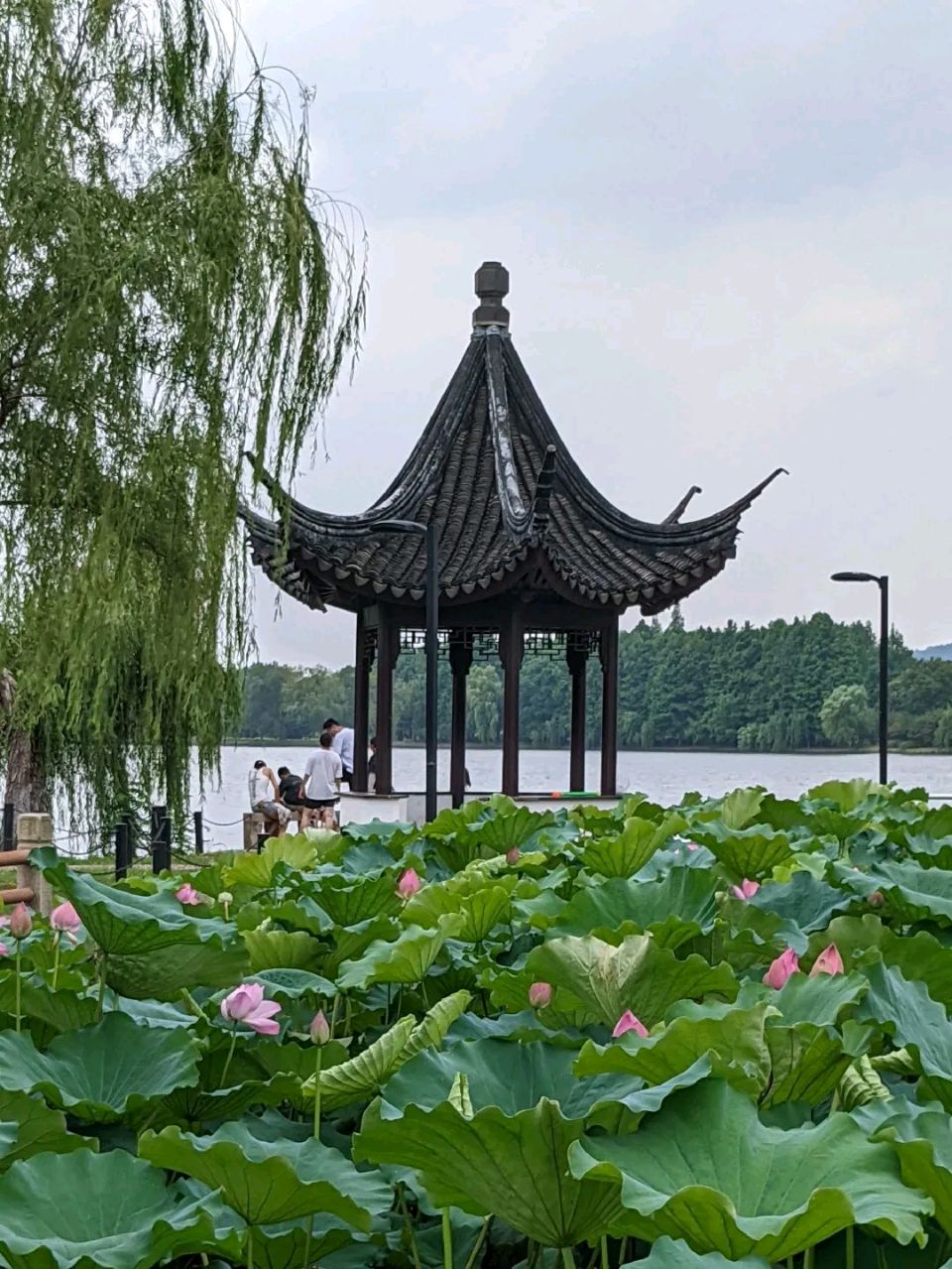 请欣赏《清秋寄怀》（外一首）作者/邢志坚/主播 大海/编辑 英利【中国长江文学社】有声文学平台【第19743期】（图4）