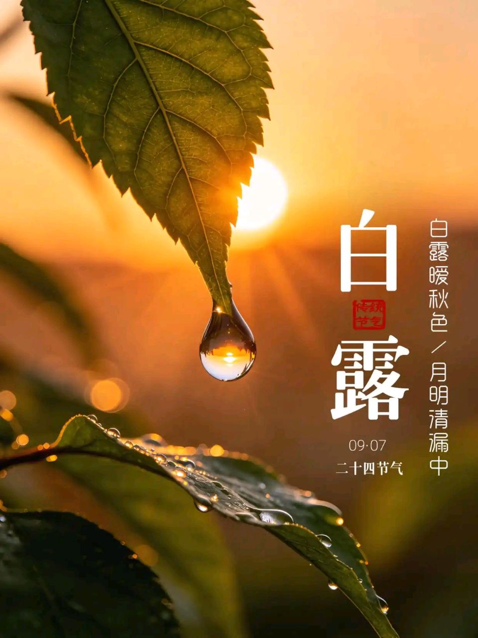 冰心文化传媒分站群1450期九月刊展播《冰心文化传媒》编制：王仙红，词：王福君，演唱：凡音。（图20）