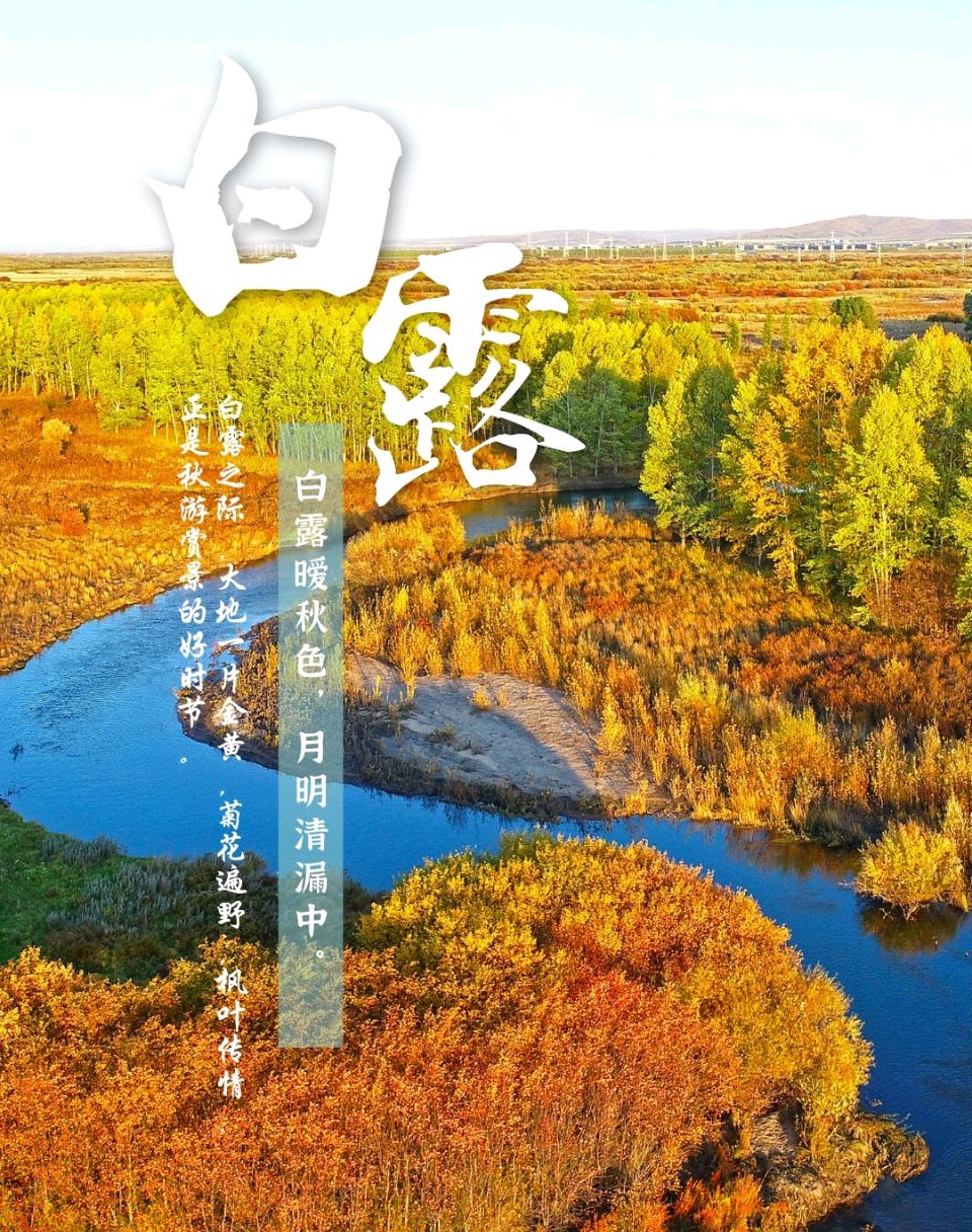 请欣赏《白露》作者/秋谷.主播.编辑/祥云【中国长江文学社】有声文学平台【第19746期】（图3）