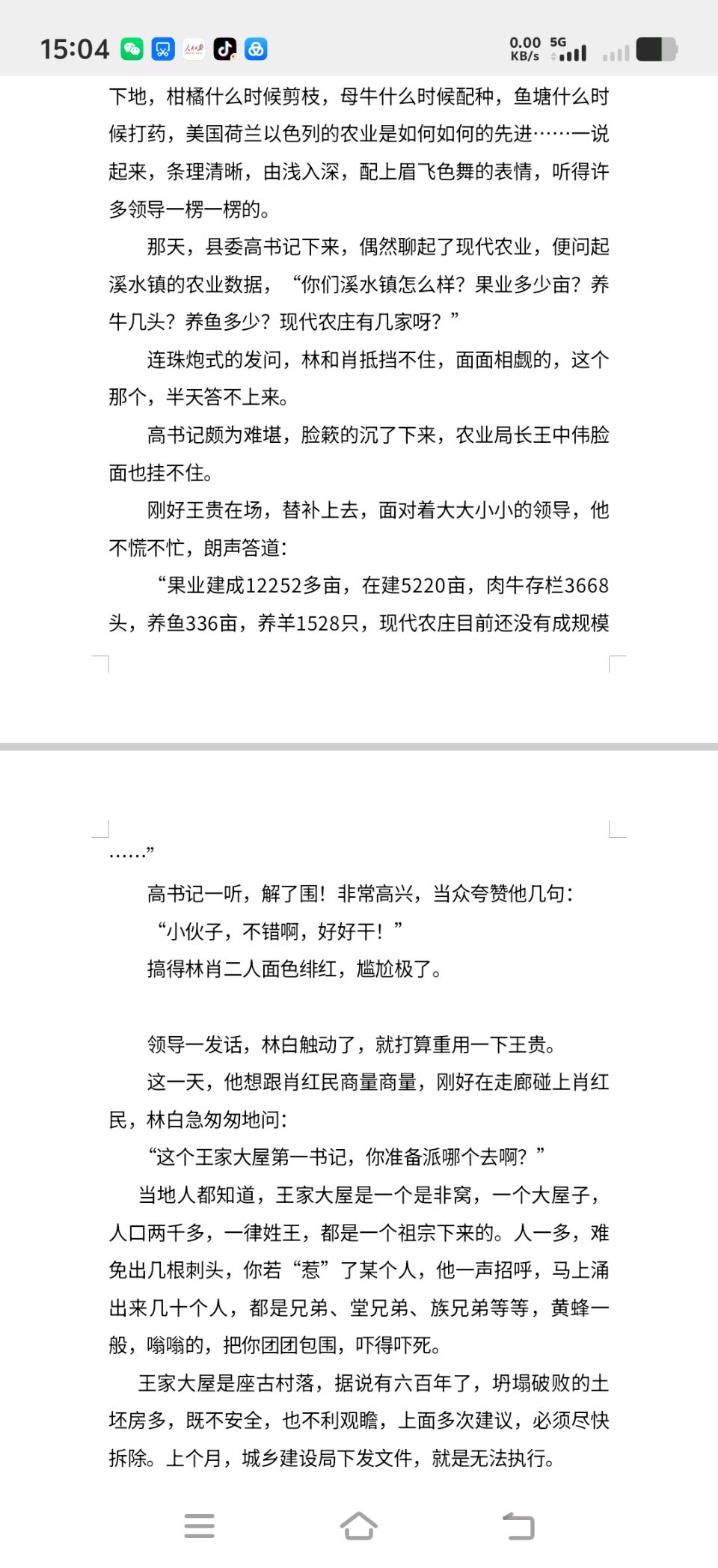 赣州阿鹏:《王家大屋》（图2）