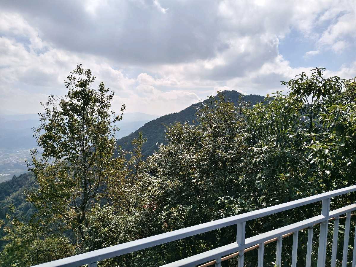 江西大余:丫山蝶变(图149)
