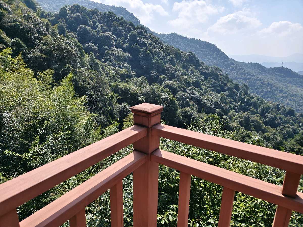 江西大余:丫山蝶变(图142)