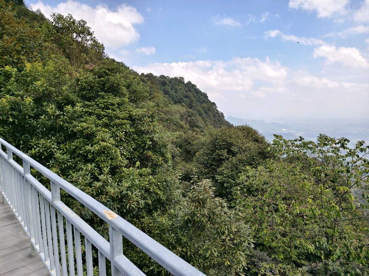 江西大余:丫山蝶变(图146)