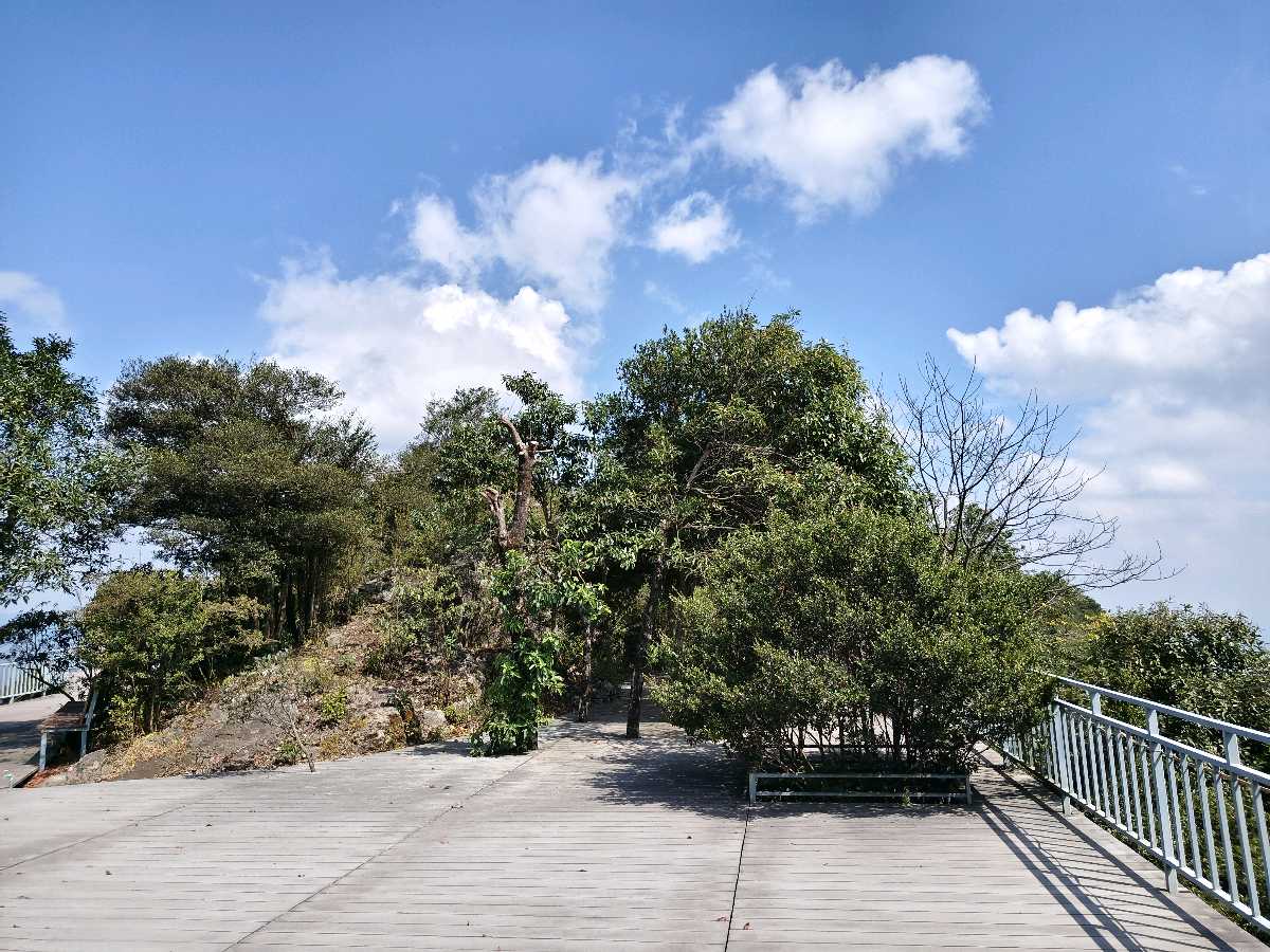 江西大余:丫山蝶变(图148)