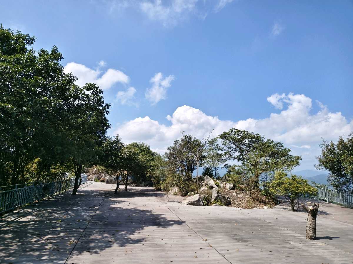 江西大余:丫山蝶变(图151)