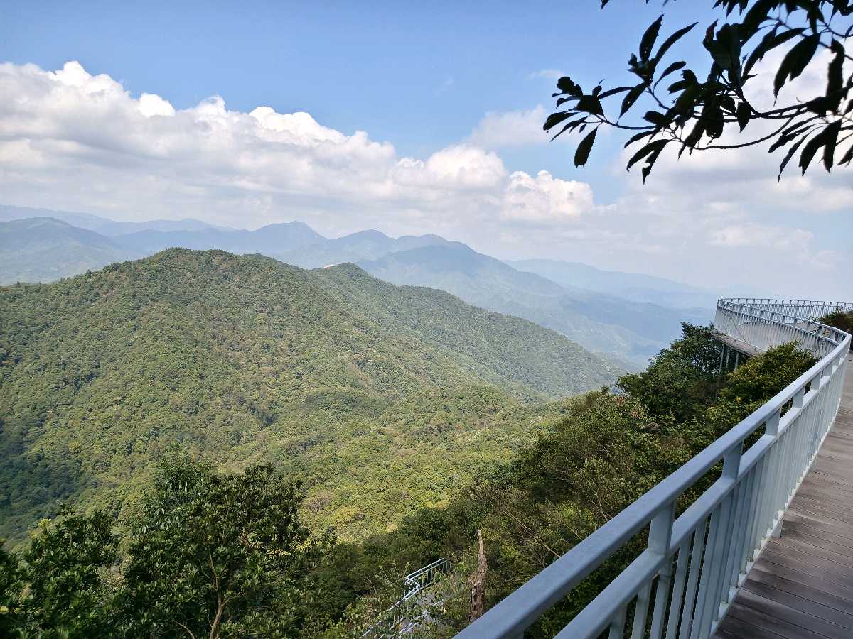 江西大余:丫山蝶变(图150)